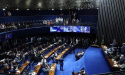 Farinhas, massas e fórmulas especiais terão tributo zero com reforma