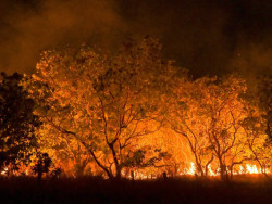 Amazônia tem o maior número de queimadas e incêndios em 17 anos