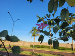 Segunda-feira de céu limpo e máxima de 29ºC em Dourados