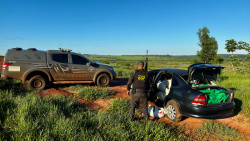 Operação entre DOF e Denarc do PR apreende quase 500 quilos de drogas