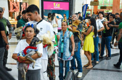 Ação incentiva a adoção responsável e o combate ao abandono de animais