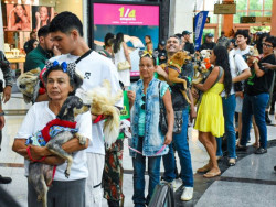 Ação incentiva a adoção responsável e o combate ao abandono de animais