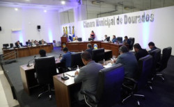 Projeto agora segue para sanção do prefeito Alan Guedes (Foto: CMD)