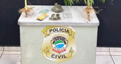 Homem é preso com 'pés' de maconha e porções da droga em Naviraí