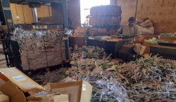 Procon de MS envia 2,3 toneladas de papel para reciclagem