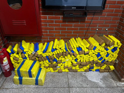 Polícia apreende 294,7 quilos de droga escondidos em carga de cebolas