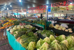Feira Livre de Dourados funciona normalmente nesta segunda-feira