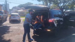 Autor de homicídio em Dourados é preso na zona rural de Maracaju