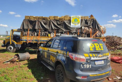 PRF de Dourados registra apreensão recorde de drogas em 2024