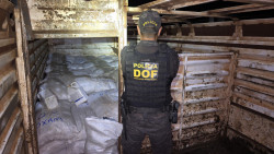 Homem é com R$ 4 mi em defensivos agrícolas em caminhão boiadeiro