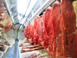 Brasil bate recorde histórico em exportação de carne bovina em 2024