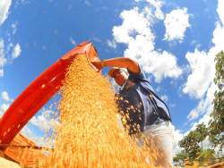 Mato Grosso do Sul fecha 2024 com superávit de US$ 7,1 bi na balança comercial