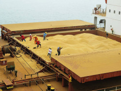 Confira dados de exportação da soja no Brasil em janeiro