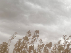 Quinta-feira tem previsão de chuva moderada em diferentes regiões de MS