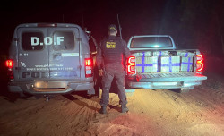 Ação integrada apreende 1.200 quilos de maconha