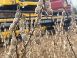 Abertura Nacional da Colheita da Soja será realizada no Mato Grosso