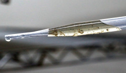 MS participa da instalação do Centro de Operações de Emergência para Dengue