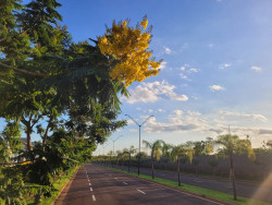 Semana começa com previsão de chuvas espalhadas e máxima de 36ºC em Dourados