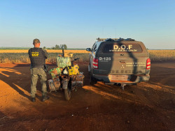 Paraguaio é preso com mais de 150 quilos de drogas em moto