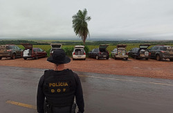 Veículos com produtos ilegais avaliados em mais de 600 mil são apreendidos