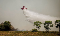 Mato Grosso do Sul reforça as ações para prevenir incêndios