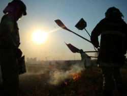 Famasul avalia como positiva simplificação de licenciamento para queima controlada