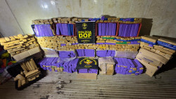 DOF apreende 1,5 tonelada de maconha em residência na Capital