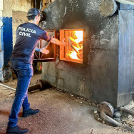 Polícia Civil incinera mais de 230 quilos de cocaína em cidade de MS