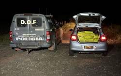 Homem é preso com mais de 350 quilos de drogas que levaria para SP