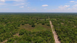 Produtores podem ser multados em R$ 725 milhões por danos ambientais no Pantanal
