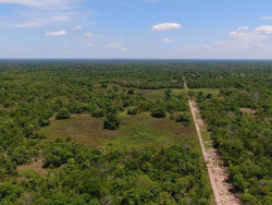 Produtores podem ser multados em R$ 725 milhões por danos ambientais no Pantanal