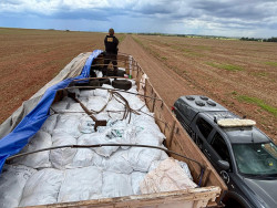 Motorista é preso com carga milionária de agrotóxico contrabandeado do Paraguai
