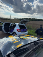 Apreensão da droga e prisão do motorista ocorreram na manhã de hoje (Foto: Divulgação/PRF)