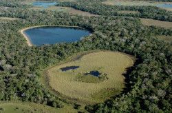 Encontro discute revisão do plano de manejo do Parque Estadual do Rio Negro