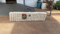 PF deflagra operação contra o tráfico de drogas e lavagem de dinheiro