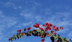 Frio perde intensidade e sábado promete tempo firme