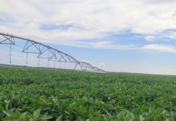 FCO fomenta a implantação de sistemas de irrigação no Centro-Oeste