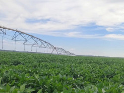 FCO fomenta a implantação de sistemas de irrigação no Centro-Oeste