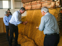 Capacidade de processar soja em MS crescerá 20% com novo empreendimento