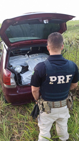 Maconha apreendida pesou quase 400 quilos (Foto: Divulgação/PRF)