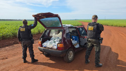 DOF apreende 400 quilos de agrotóxicos e pneus ilegais durante fiscalização