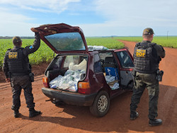 DOF apreende 400 quilos de agrotóxicos e pneus ilegais durante fiscalização