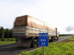 Governo de MS publica novo edital da ‘Rota da Celulose’