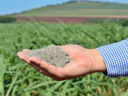 Importação de fertilizantes cresce 8,3% e bate recorde de 5 anos