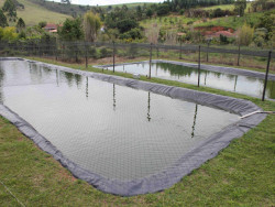 Projetos de piscicultura de até 2 hectares ganham isensção da prefeitura