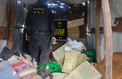 Após guardar maconha em residência, casal de adolescente é apreendido pelo DOF