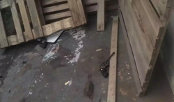 Dois homens e mulher morrem em confronto com policiais militares