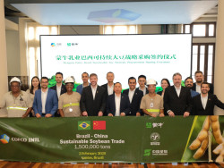 China firma acordo para comprar 1,5 milhão de t de soja brasileira certificada