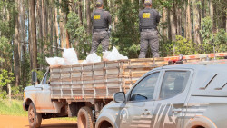 Polícia apreende 3,5 toneladas de agrotóxicos avaliado em R$ 3,5 milhões