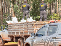 Polícia apreende 3,5 toneladas de agrotóxicos avaliado em R$ 3,5 milhões